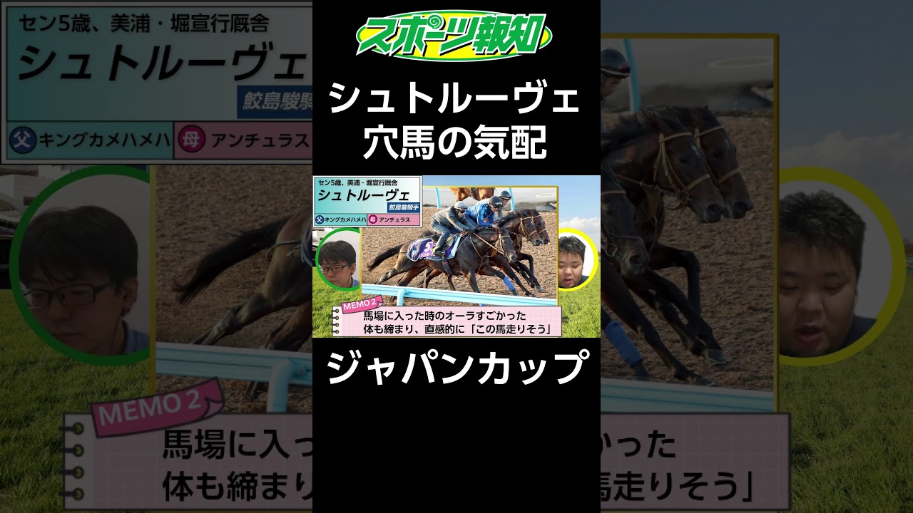 【ジャパンカップ2024】大穴馬が波乱起こす！？シュトルーヴェを忘れてはいけない理由とは？