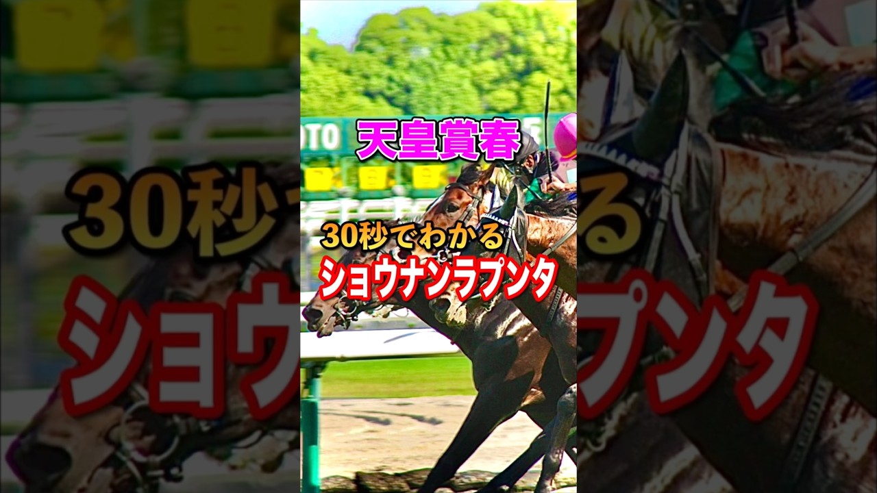 【天皇賞春2025】30秒でわかるショウナンラプンタ