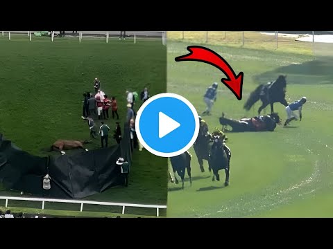 リバティアイランド悲劇！クイーンエリザベス2世カップで衝撃の失速｜競馬ファン絶叫【最新競馬ニュース】