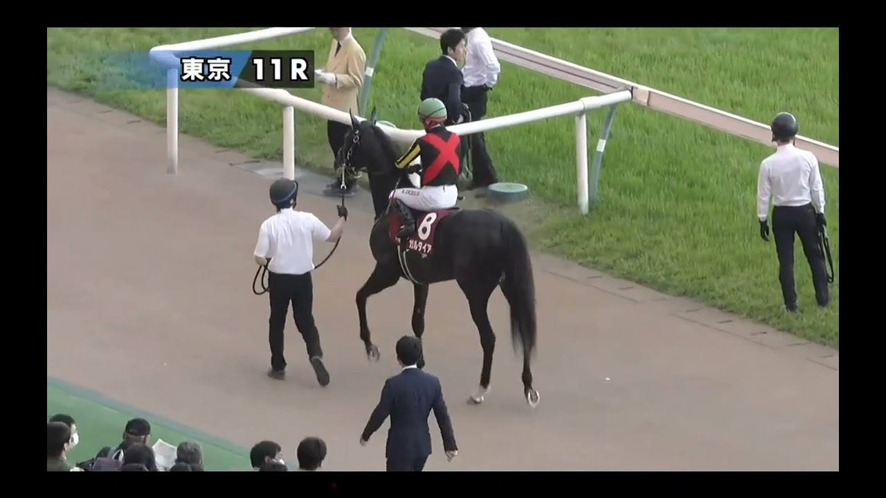【エネルジコ出走】東京11R 青葉賞《G2》本馬場入場