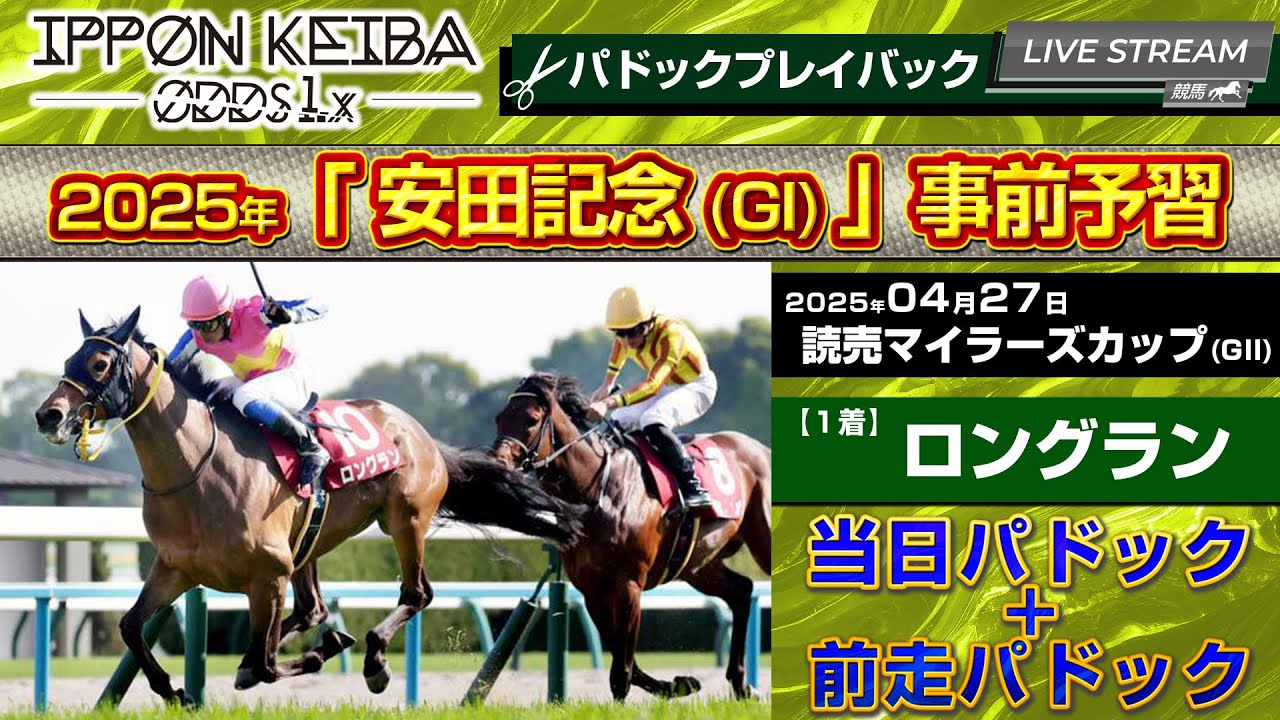 【安田記念予習】4/27マイラーズC 1着「ロングラン」パドック映像｜次なるGⅠ・安田記念へ向けた“勝負の足音”をチェック【IPPON競馬】