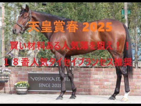 天皇賞春 買い材料ある人気薄を狙え １８番人気タイセイプランセス推奨