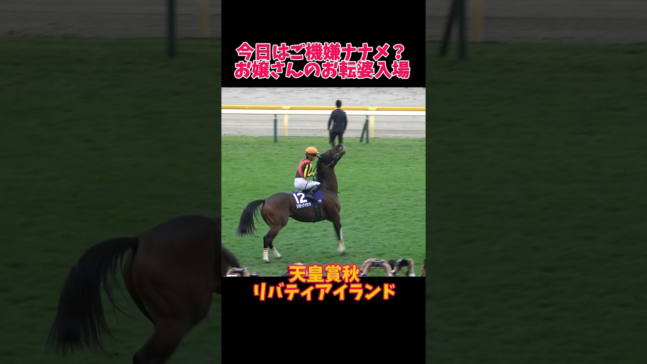 【天皇賞秋】リバティお嬢さんのお転婆な本馬場入場 #shorts #リバティアイランド #ドウデュース