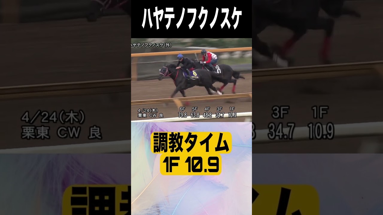 天皇賞春2025　ハヤテノフクノスケ　#天皇賞春