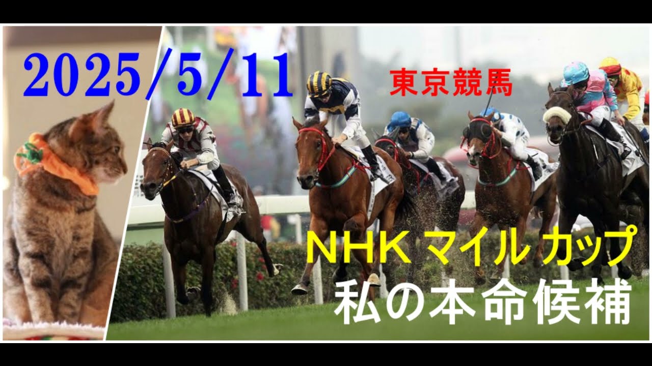 2025/5/11　東京競馬　ＮＨＫ マイル カップ（ＧⅠ）私の本命候補