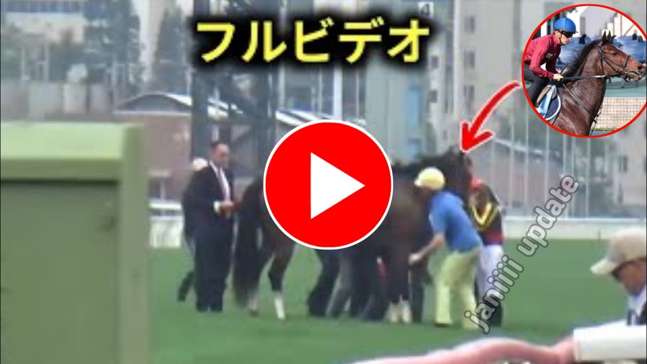 リバティアイランド悲劇！クイーンエリザベス2世カップで衝撃の失速｜競馬ファン絶叫【最新競馬ニュース】