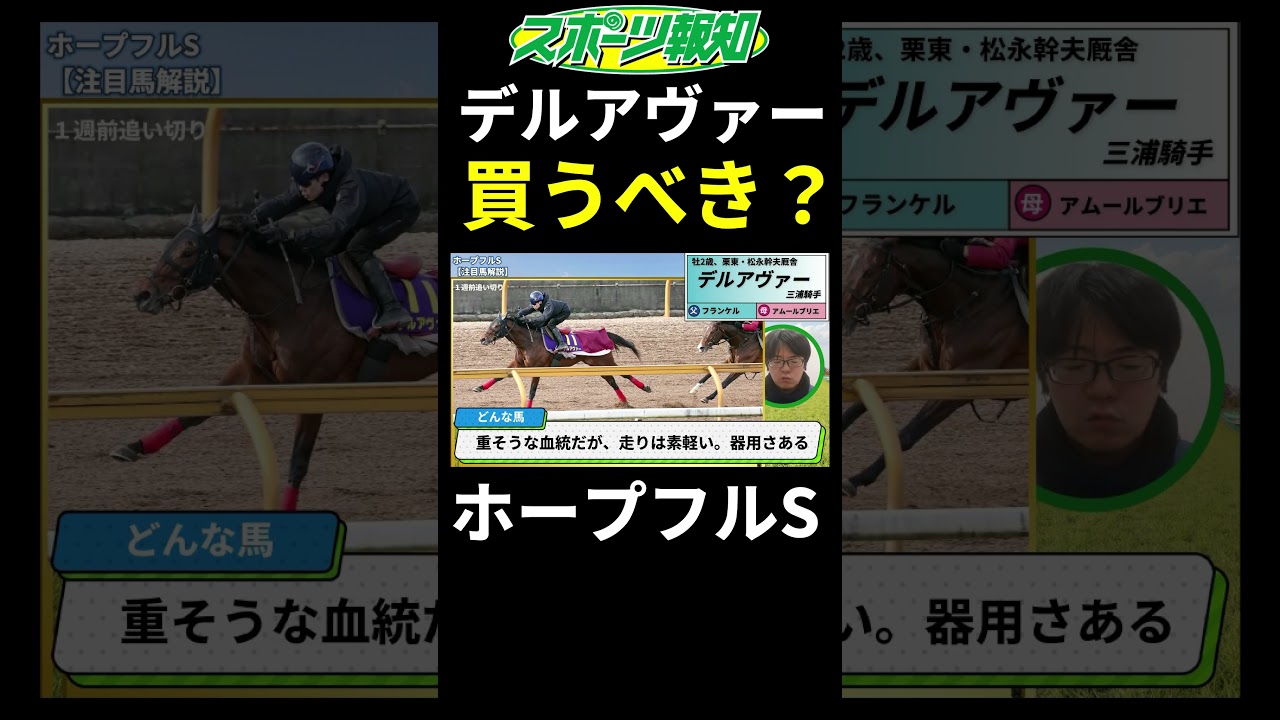 【ホープフルステークス2024】三浦騎手も高評価！デルアヴァーってどんな馬？血統、状態などを解説