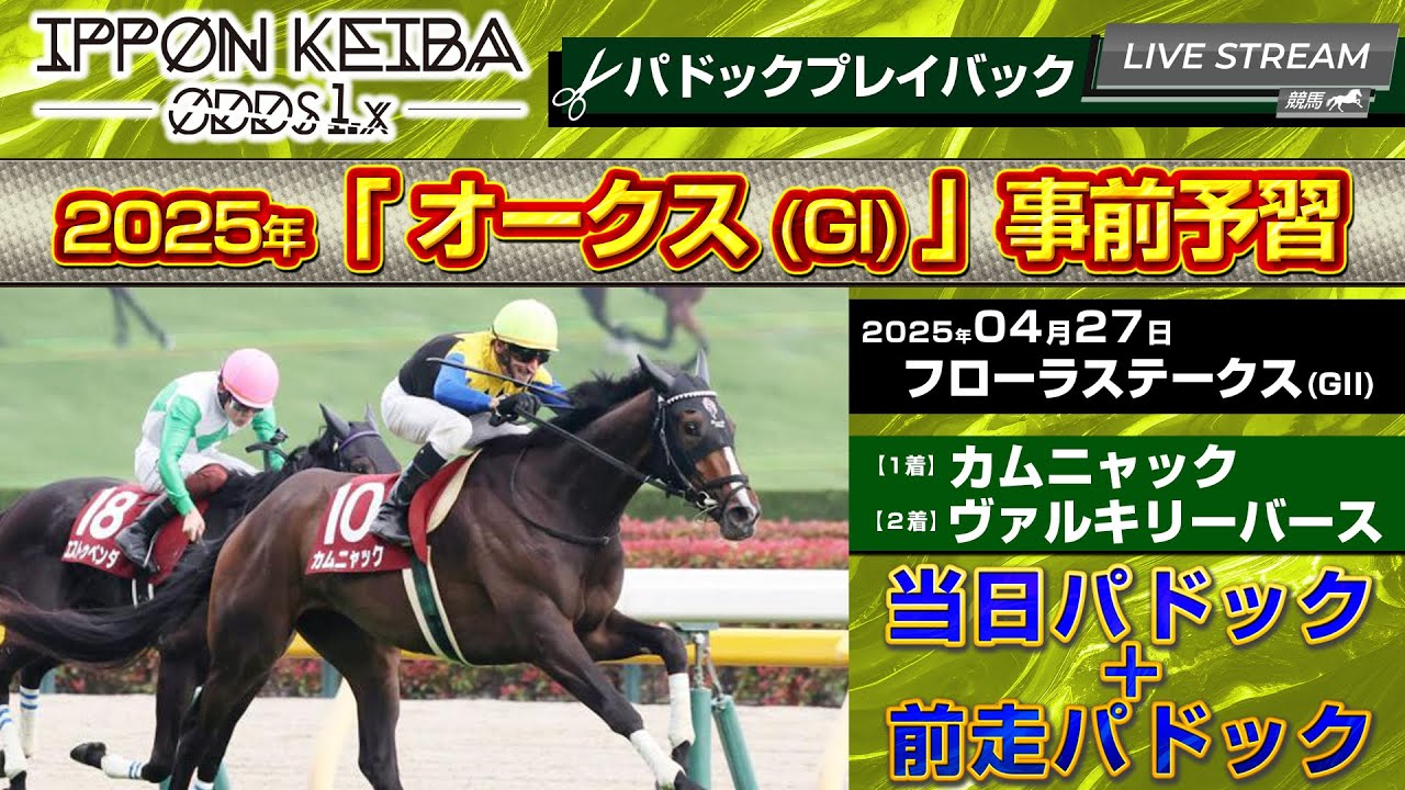【オークス予習】フローラステークス「カムニャック」「ヴァルキリーバース」当日＆前走パドックで馬体状態を線で見る【IPPON競馬】