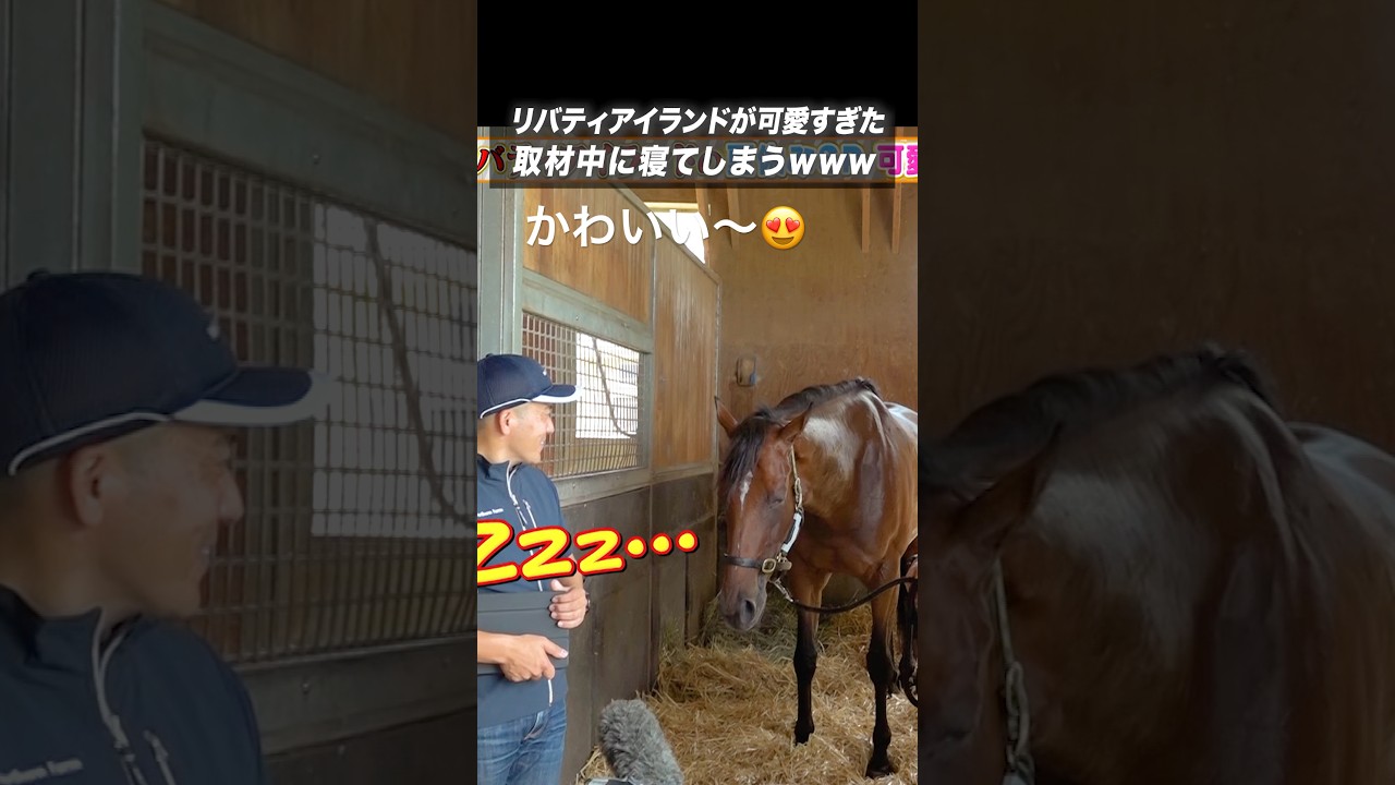 【ゆっくり休んでね😭】#リバティアイランド 沢山の感動をありがとう😭😭