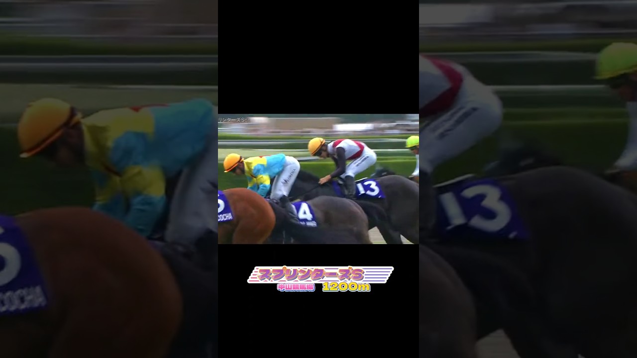 [ま、まさかの結末。.】 #スプリンターズステークス2024 #競馬 #競馬予想 #馬 #shorts