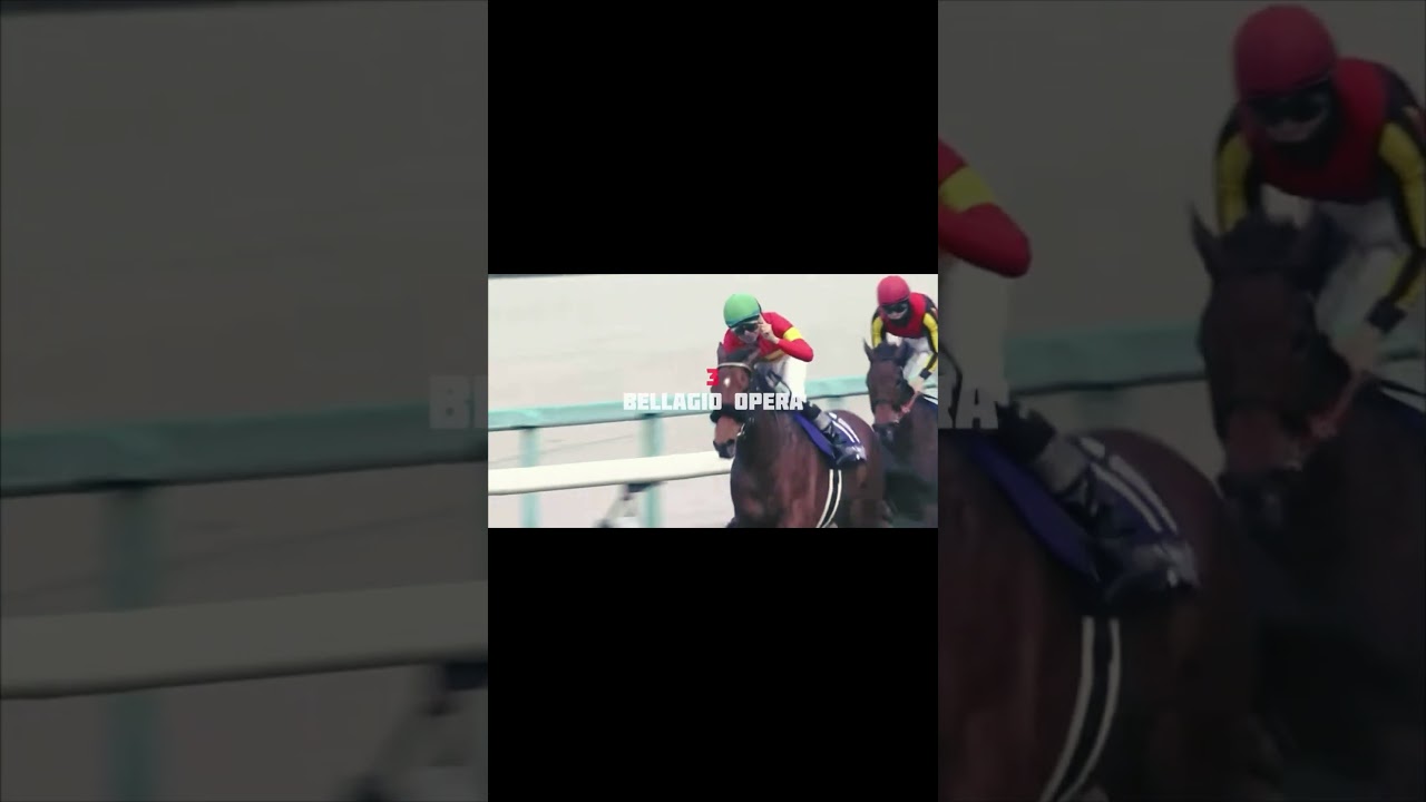 【競馬MAD】宝塚記念2024