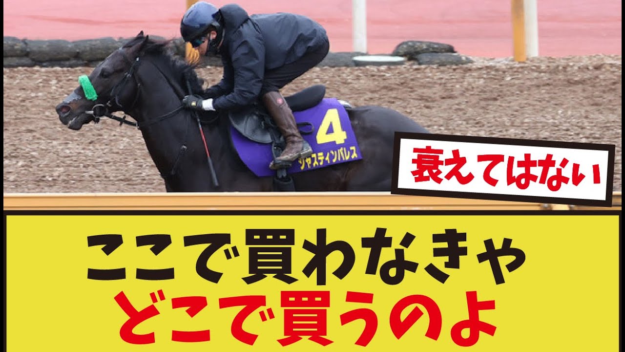 「天皇賞春はジャスティンパレス一択だな」に対するみんなの反応集