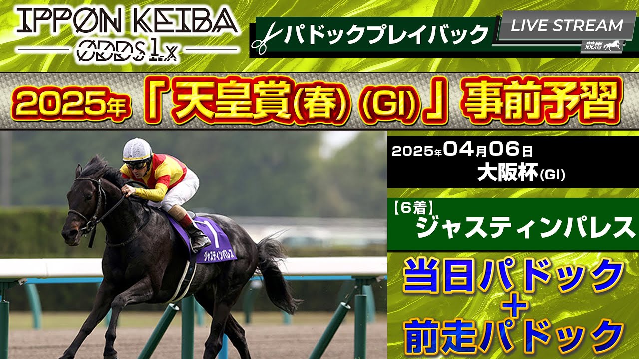 【天皇賞(春) 事前チェック】ジャスティンパレス｜大阪杯の歩様に注目 当日＆前走パドックで馬体状態を線で見る【IPPON競馬】