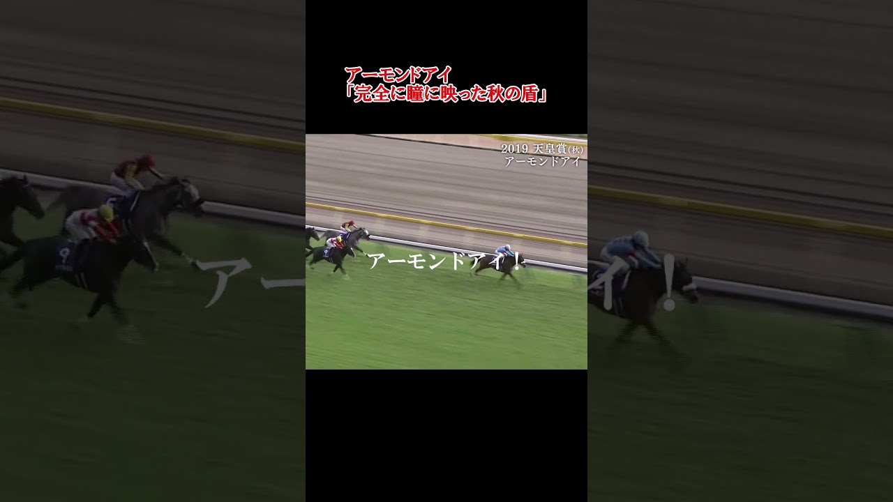 名実況 アーモンドアイの天皇賞(秋) 「完全に瞳に映った秋の盾！」
