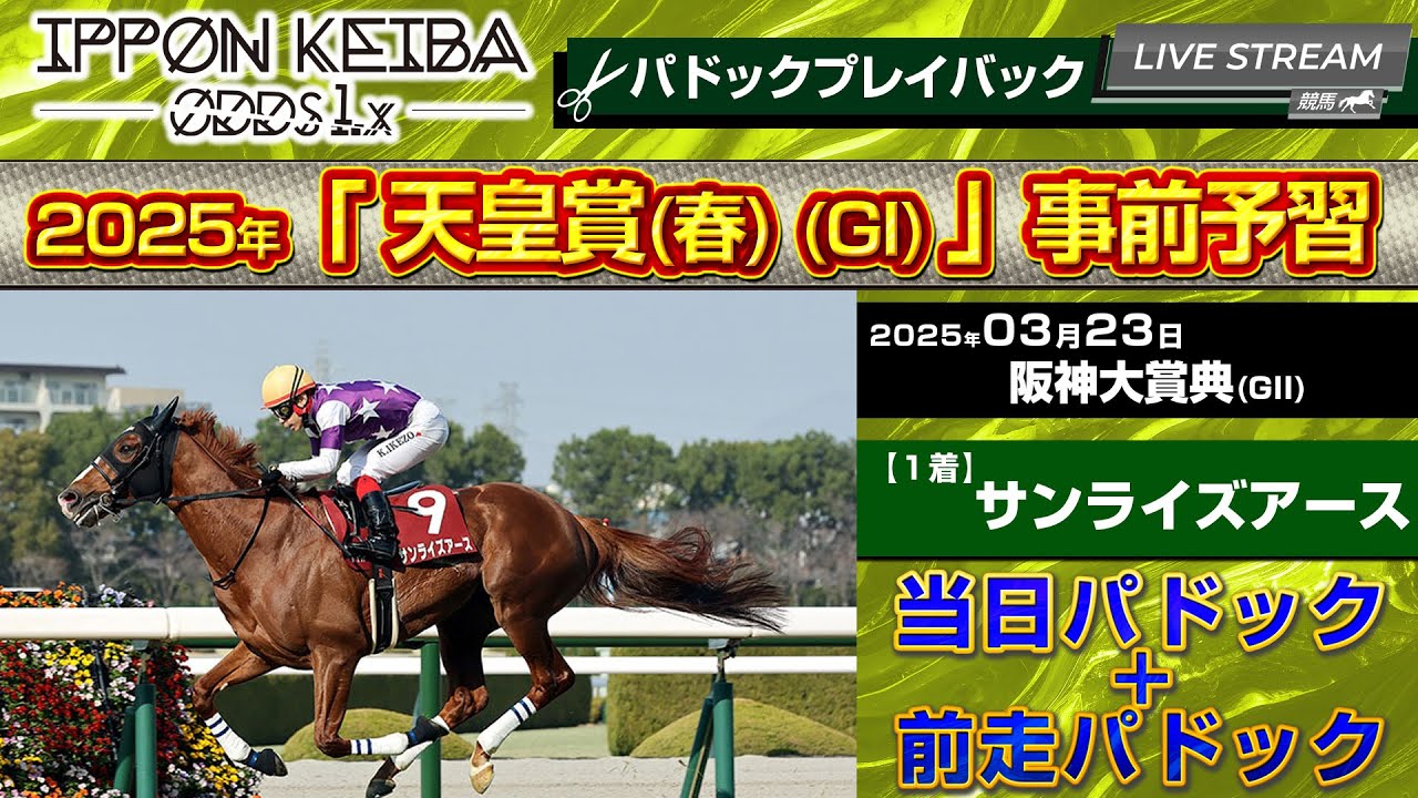 【天皇賞(春) 事前チェック】サンライズアースの仕上がりを映像検証｜阪神大賞典 当日＆前走パドックで馬体状態を線で見る【IPPON競馬】
