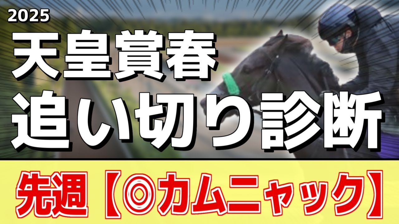 追い切り徹底解説！【天皇賞春2025】へデントール、サンライズアースなどの状態はどうか？調教S評価は2頭！
