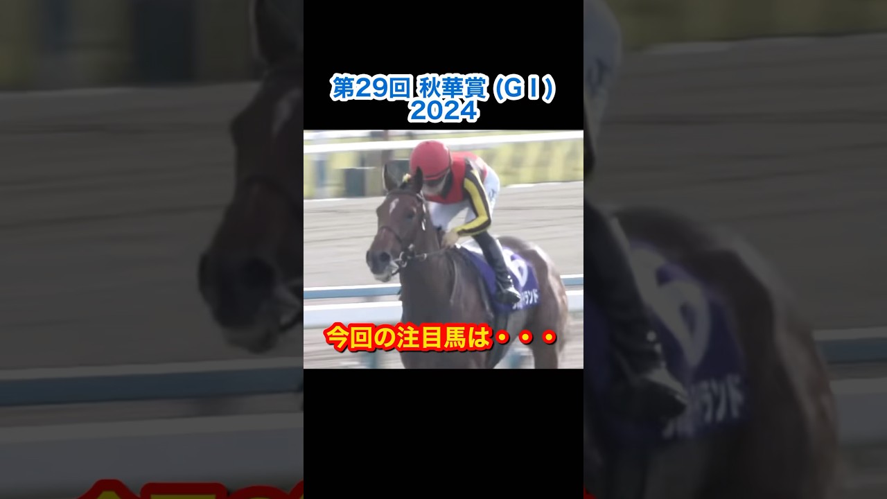 【秋華賞2024注目馬】樫の女王いざ二冠目へ！チェルヴィニアの注目ポイント！！#Shorts