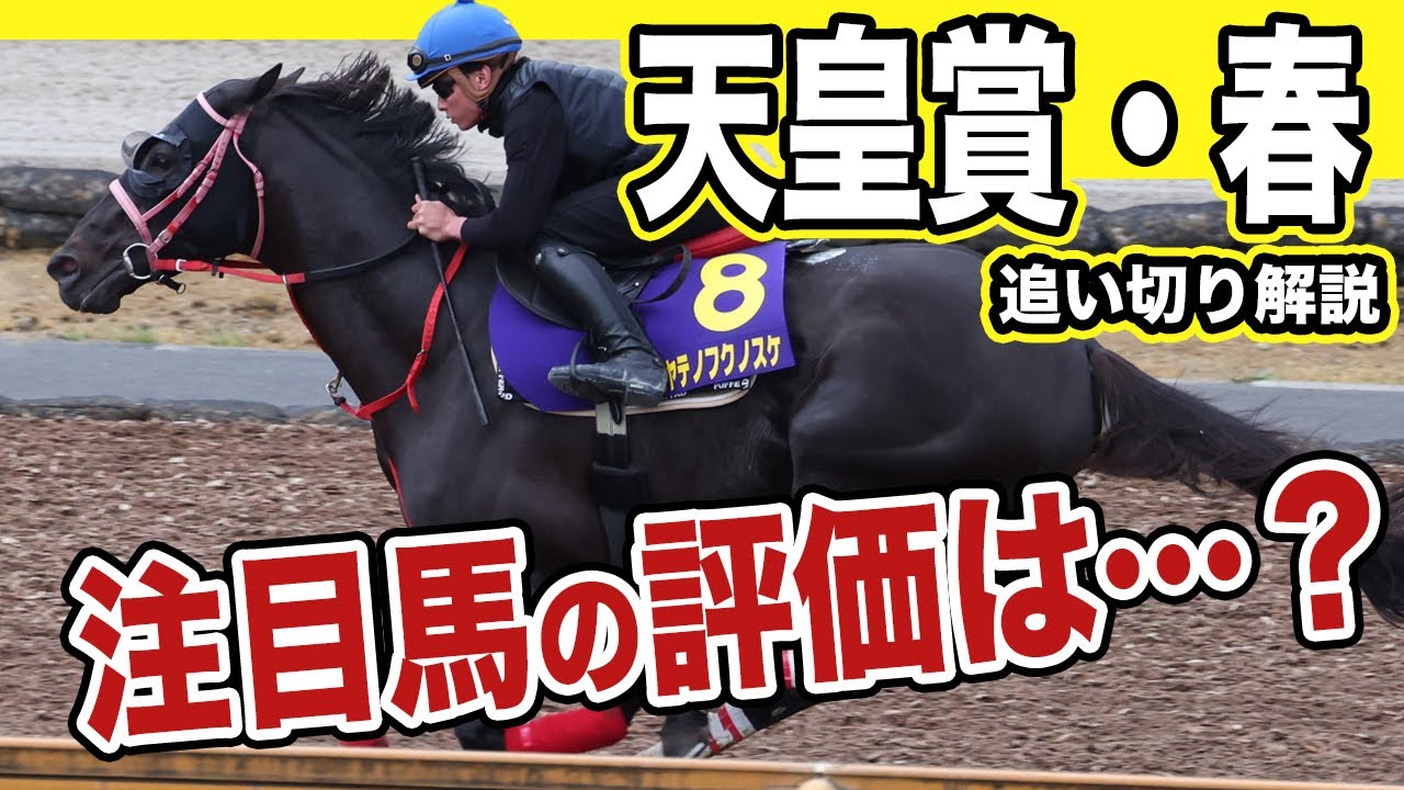 【天皇賞・春２０２５】各出走馬の追い切りを東西記者が徹底解説！