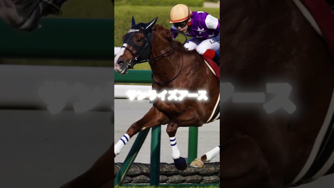 G1天皇賞春の注目馬３頭を紹介＃競馬＃競馬予想＃ヘデントール＃サンライズアース＃ジャスティンパレス
