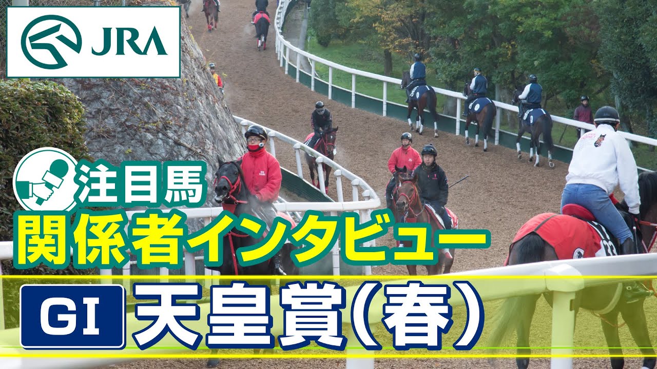 【注目馬 関係者インタビュー】2025年 天皇賞（春）｜JRA公式