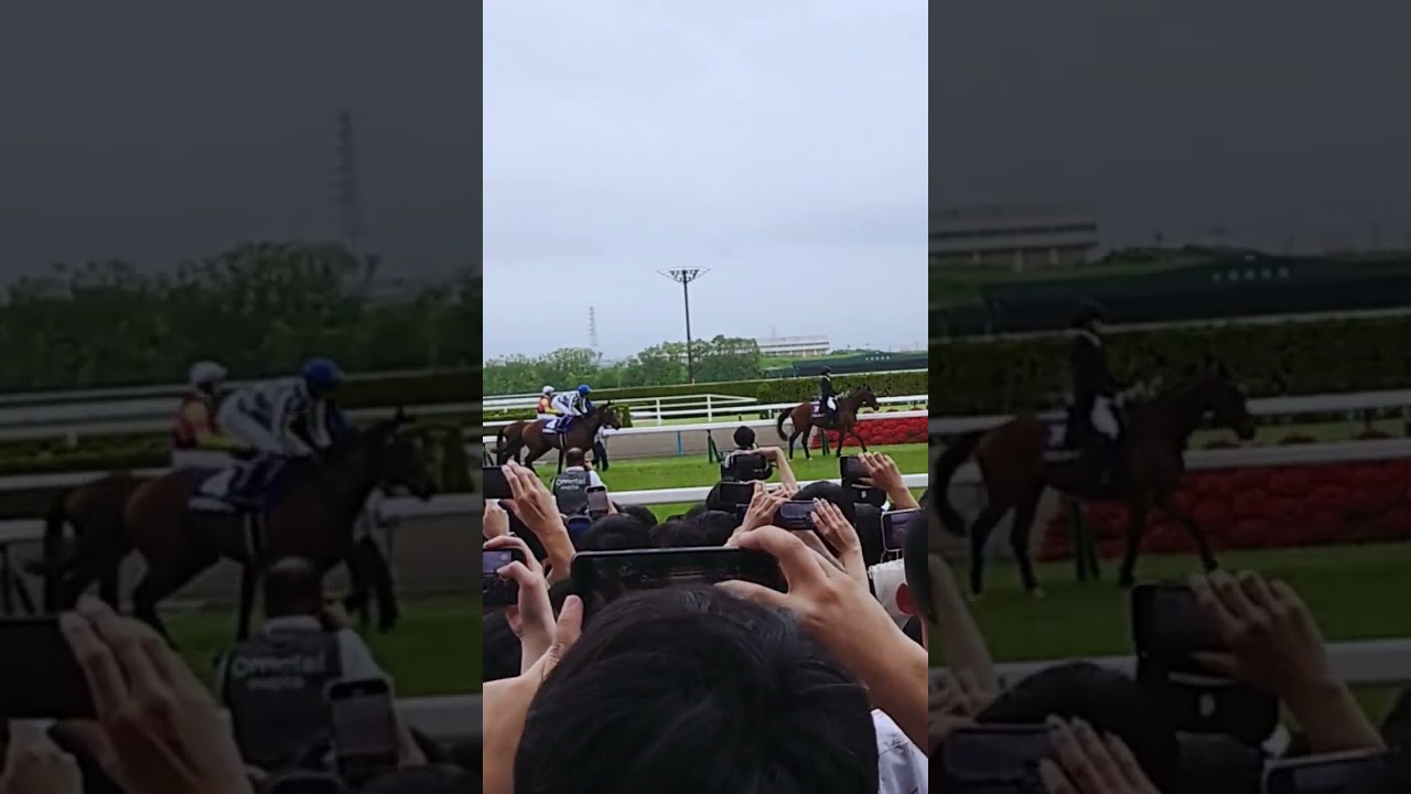 ドウデュース返し馬 宝塚記念 2024/06/23 #ドウデュース #武豊 #宝塚記念