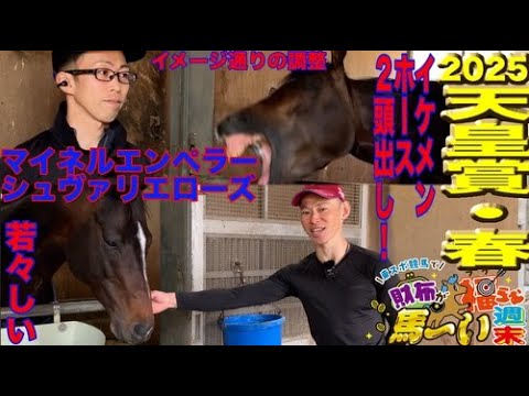 【2025天皇賞・春】シュヴァリエローズ/マイネルエンペラー陣営を直撃・視聴者プレゼントもあるよ！【東スポ競馬で財布が福らむ馬〜い週末】