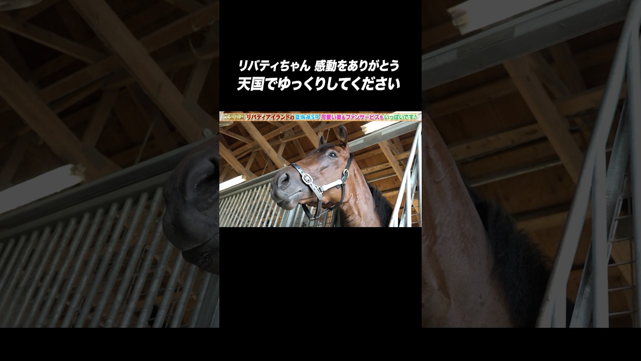 #リバティアイランド 4月27日に5歳で天国へ旅立つ #ありがとう #shorts