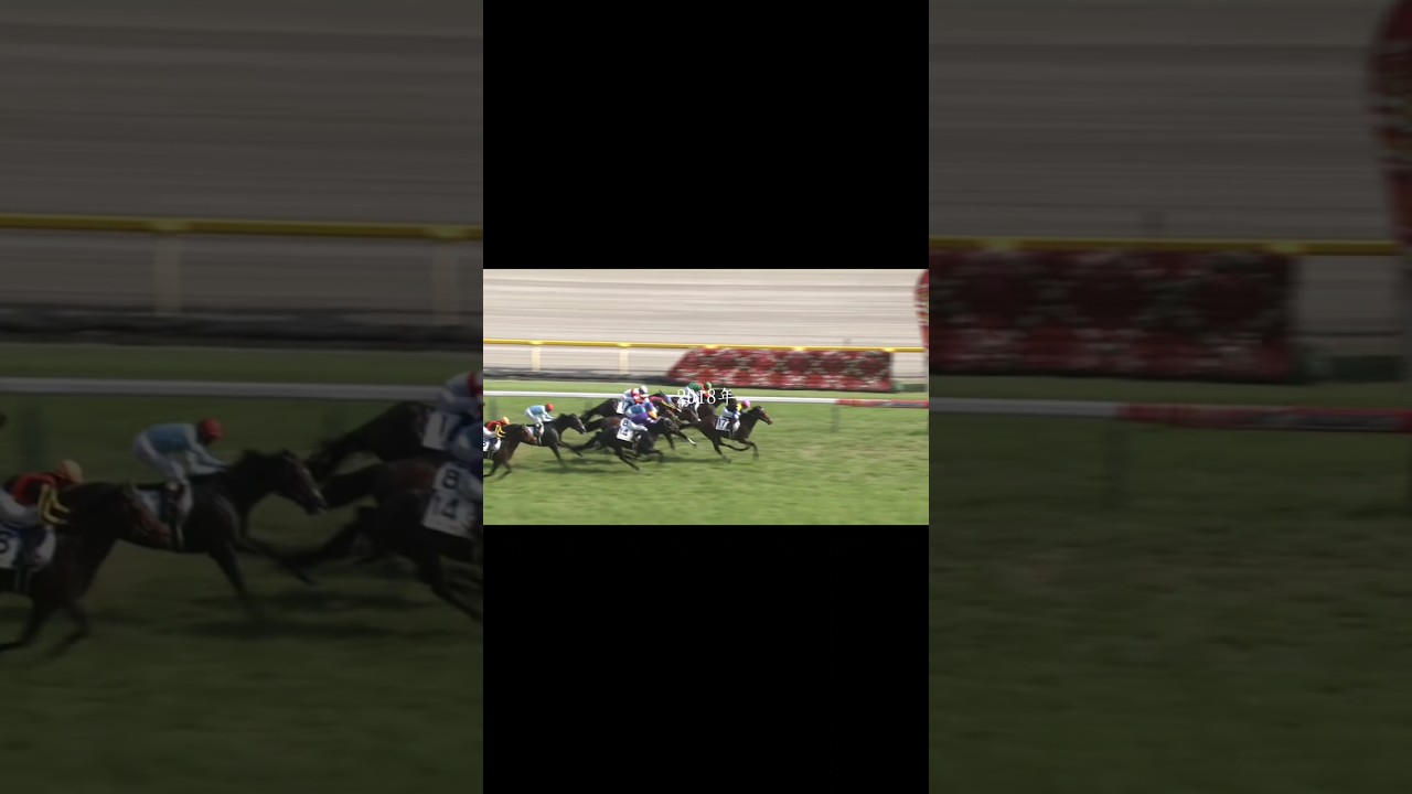 【日本ダービー2025】全てはこの日のために....#競馬 #日本ダービー #クロワデュノール #エネルジコ …#ミュージアムマイル #おすすめにのりたい #おすすめ  #jra