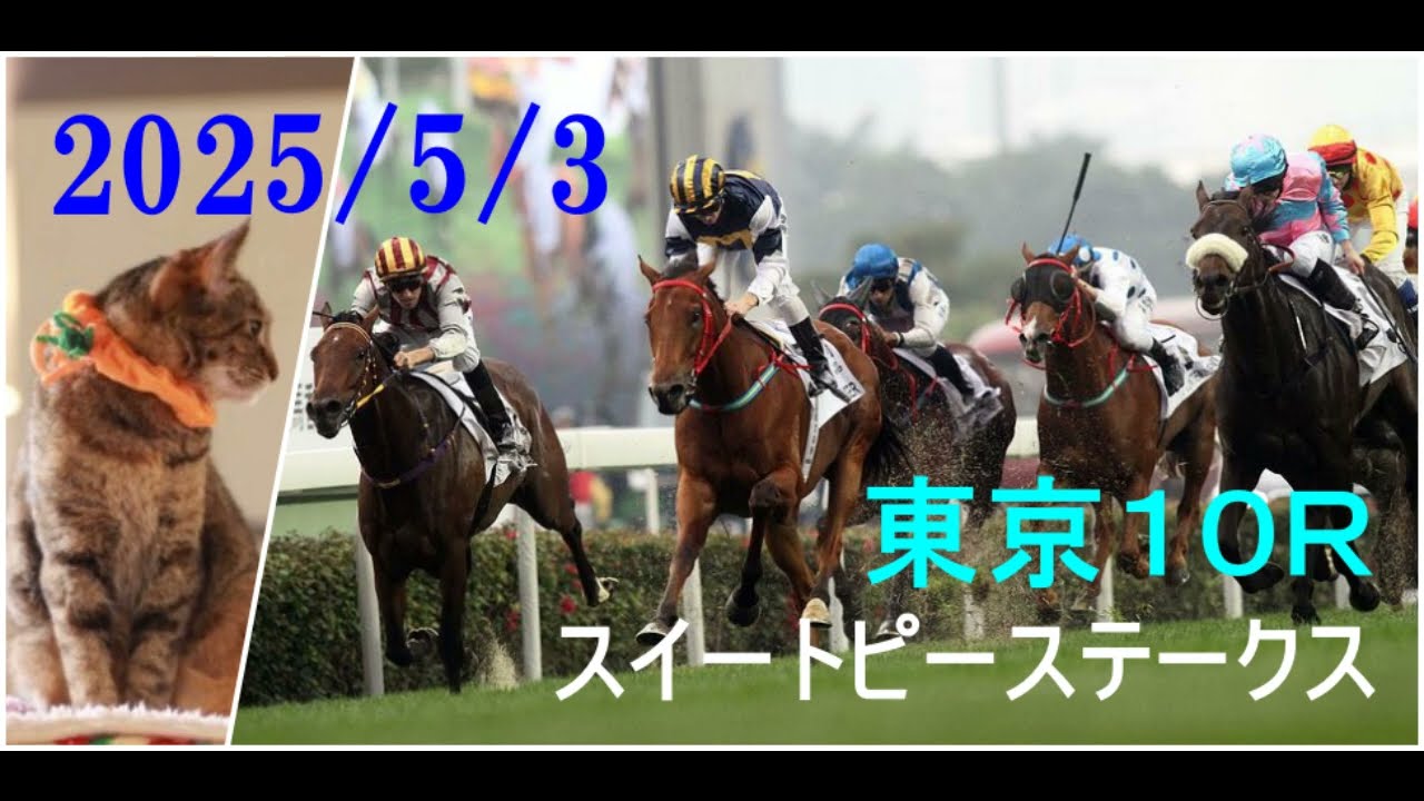 2025/5/3　東京１０レース　スイートピーステークス（オークス トライアル）枠順確定