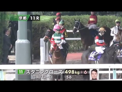 2024 第49回エリザベス女王杯〔GⅠ〕本馬場入場