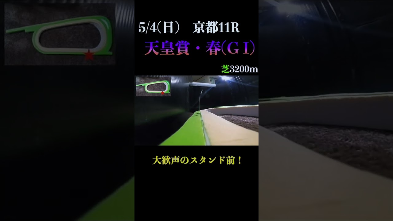 【買っちゃえばいいじゃん】天皇賞・春(ＧⅠ) 2025 #競馬予想 #win5