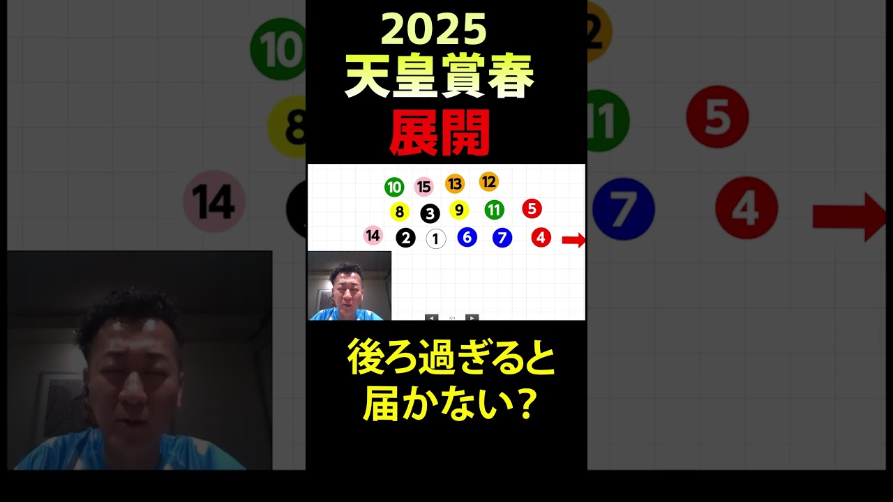 展開～ 天皇賞春 2025 #ヘデントール