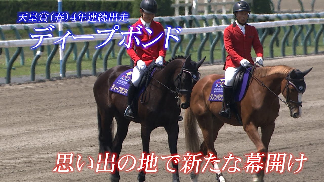 【天皇賞(春) 4年連続出走 ディープボンド】 思い出の地で新たな幕開け