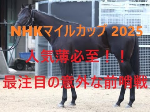 人気薄必至 NHKマイルカップ最注目となる意外な前哨戦