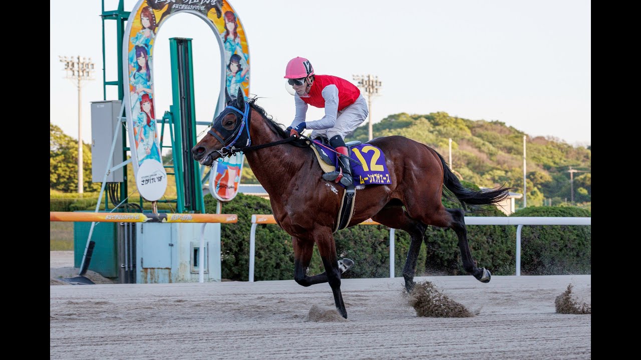 【佐賀競馬】第13回 佐賀皐月賞（2025.5.4）