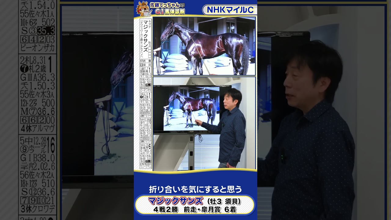 【2025年 NHKマイルＣ】マジックサンズ馬体診断　 #shorts #競馬 #予想