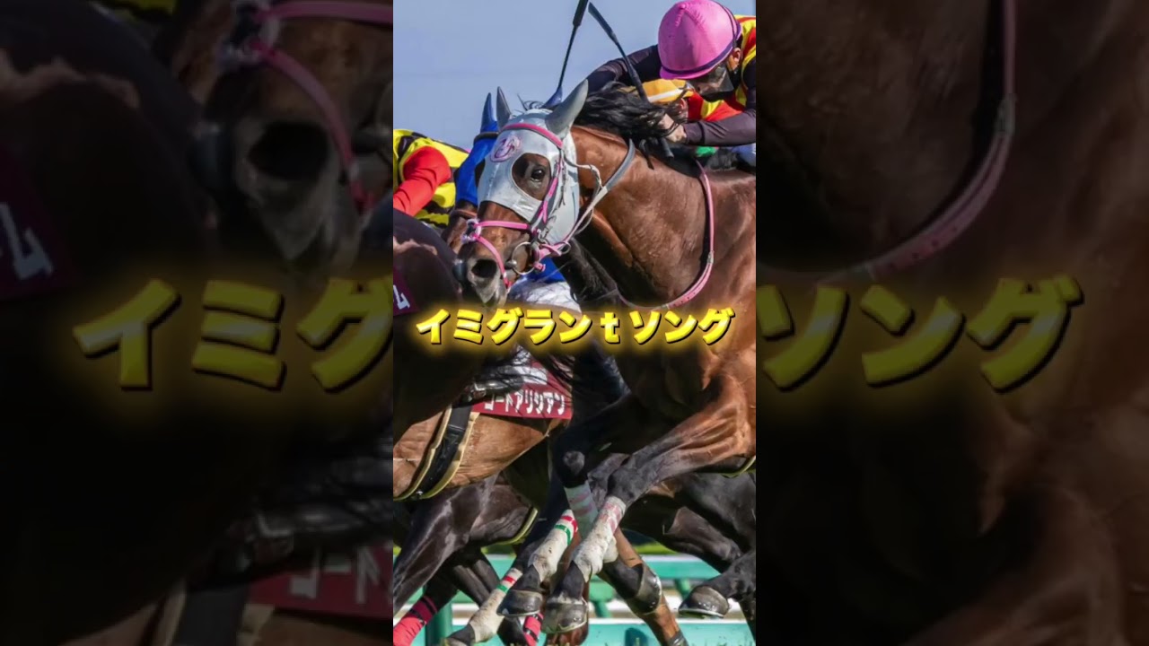 G1NHKマイルカップの注目馬3頭を紹介＃競馬＃競馬予想＃アドマイヤズーム＃ランスオブカオス＃イミグラントソング