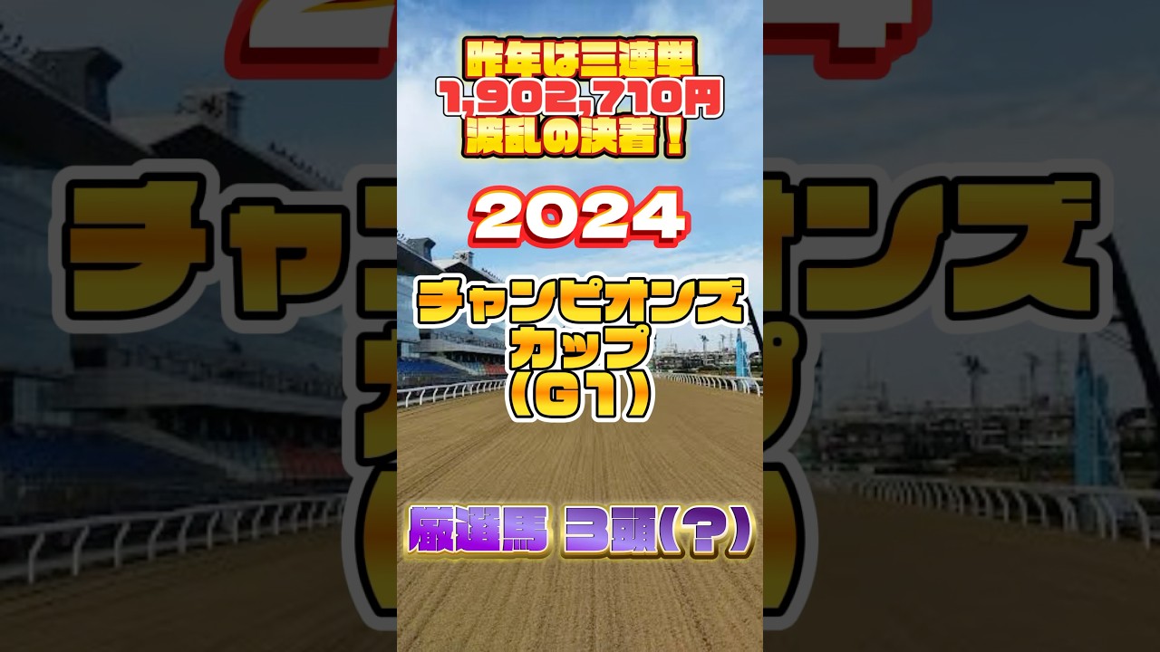 2024 チャンピオンズカップ 厳選馬３頭(？)