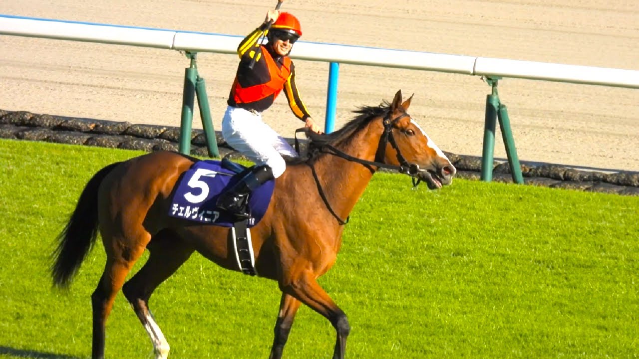 【秋華賞2024 GⅠ連勝で世代最強の走り❗❗ チェルヴィニア ＆ C.ルメール騎手 見事に2冠達成❗❗  現地ゴール前にて撮影 ダイジェスト版】 京都11R 秋華賞 2024.10.13