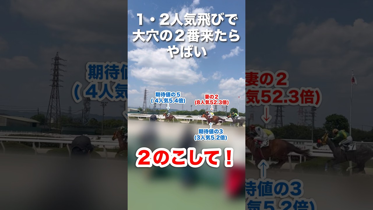 【まさかの展開】パドックで選んだ下から2番目の大穴が来たらヤバい！夫の期待値に乗ったつもりが…【現地参戦】#nhkマイルカップ #nhkマイルc #ヴィクトリアマイル #園田競馬