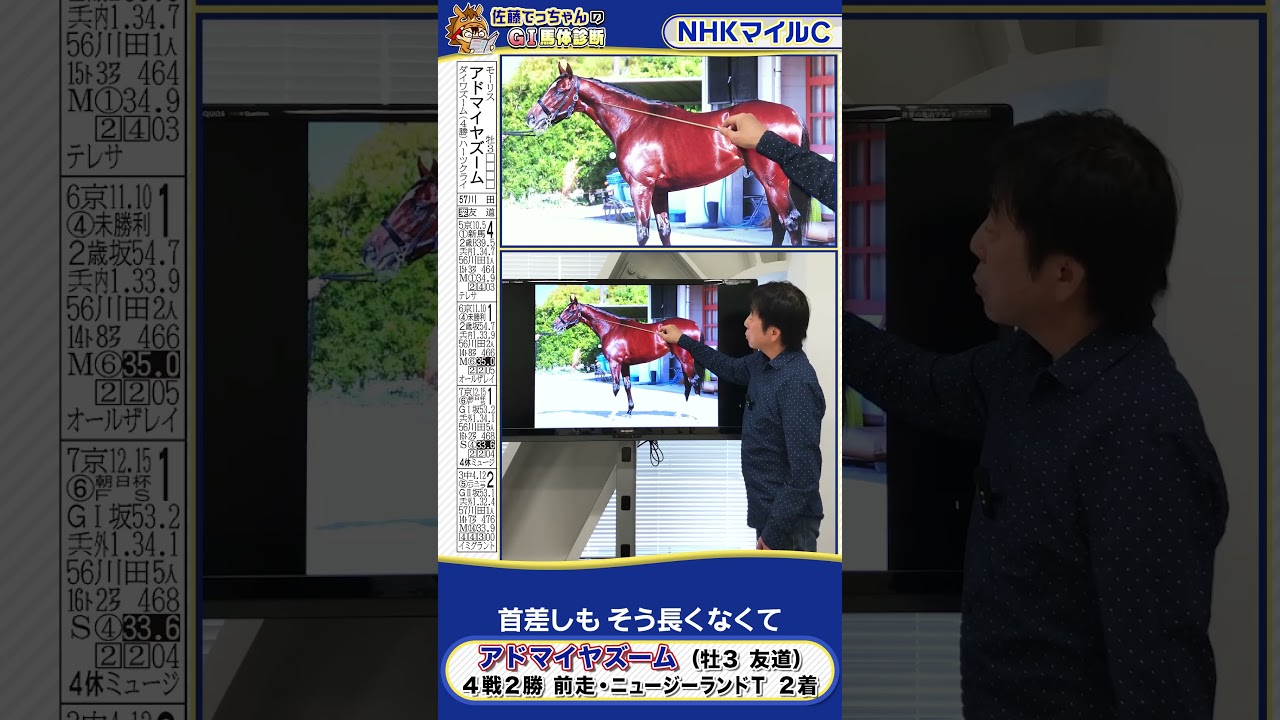 【2025年 NHKマイルＣ】アドマイヤズーム馬体診断　 #shorts #競馬 #予想