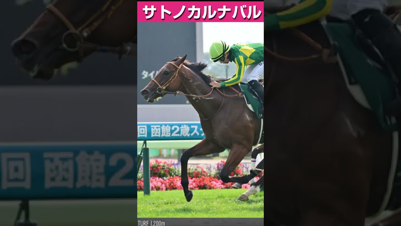 【NHKマイルカップ2025】NHKマイルカップ2025注目馬３頭 #競馬 #競馬予想 #中央競馬 #jra