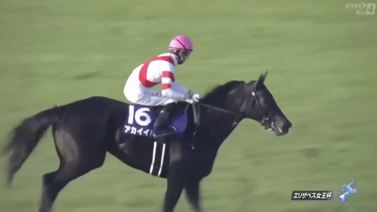 2021年 第46回 エリザベス女王杯(G1)(アカイイト、幸英明)