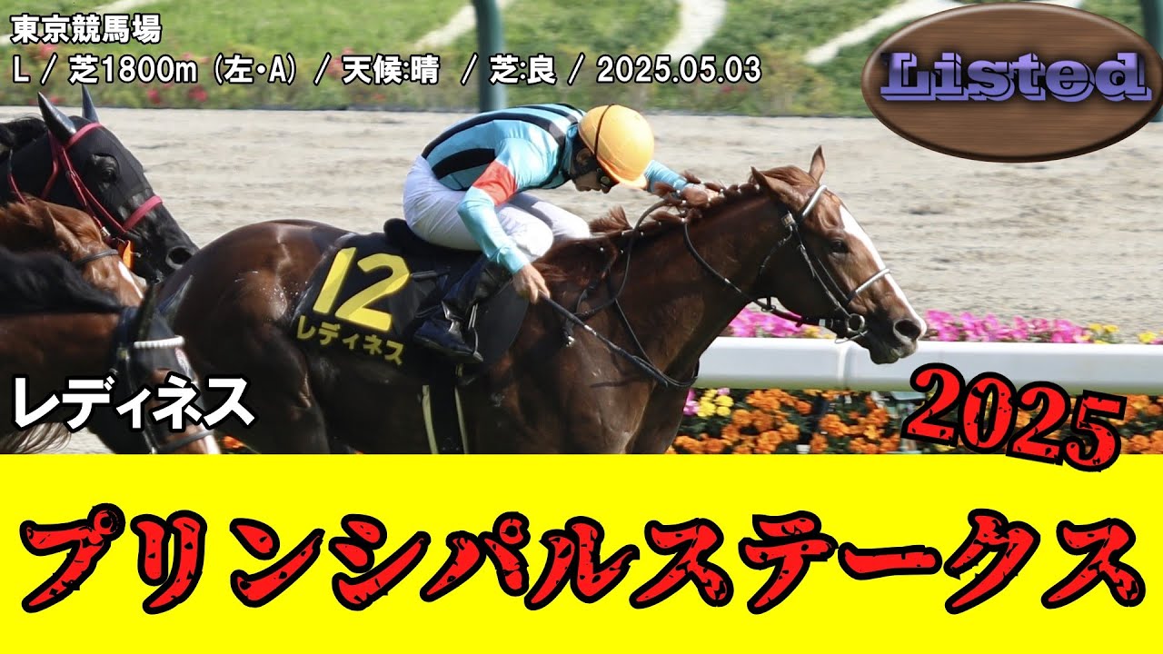 【競馬】 プリンシパルステークス （ダービートライアル） 2025 / レディネス