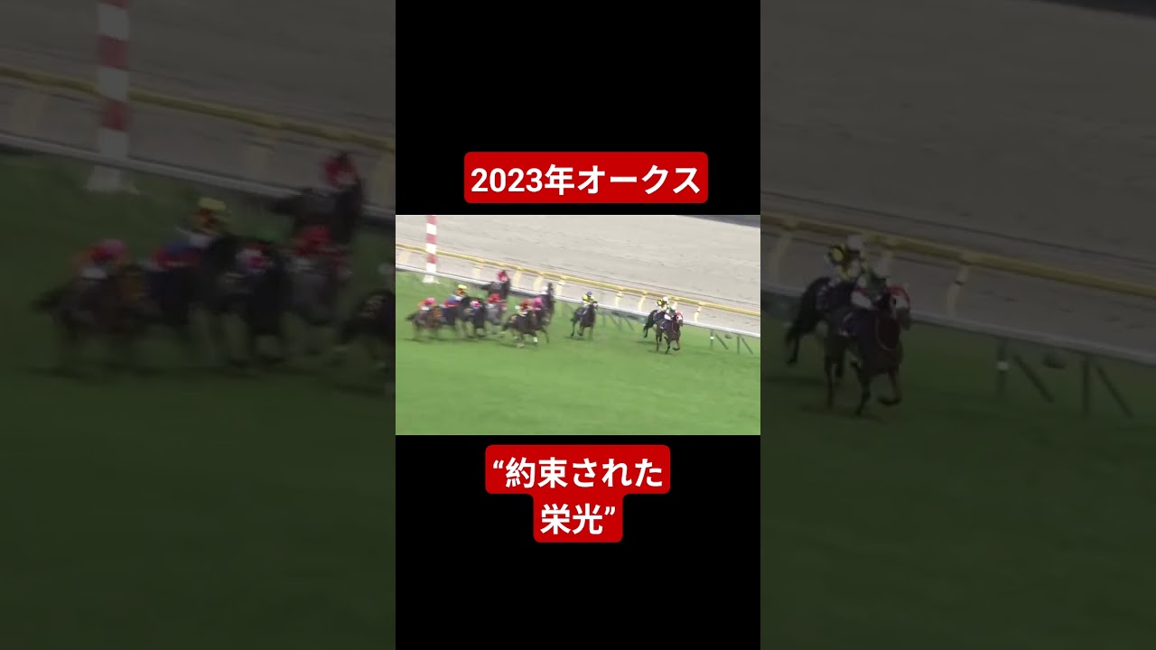 【2023年オークス】女王の座揺るがず！もはや敵無しこれほどまでに強いのか！！ #競馬 #リバティアイランド#オークス#shorts