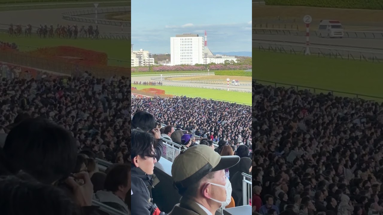 中京11R #高松宮記念　ゴール　#サトノレーヴ　#ジョアンモレイラ騎手　おめでとう　#ウマジョ日記