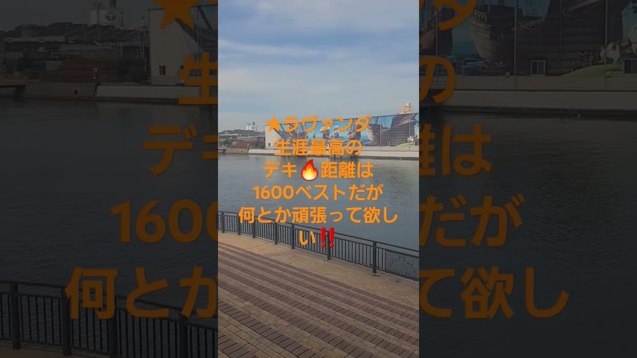 秋華賞予想ショート動画🔥大穴指名💣