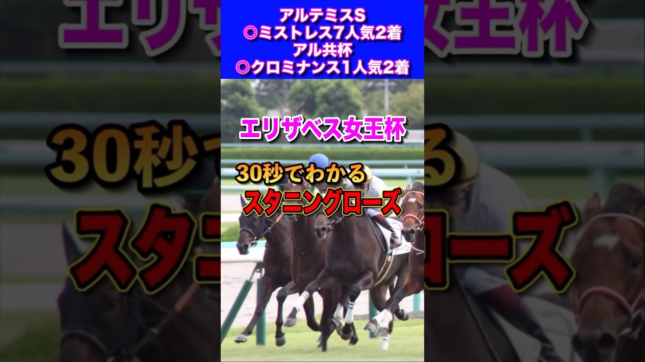 【エリザベス女王杯2024】30秒でわかるスタニングローズ