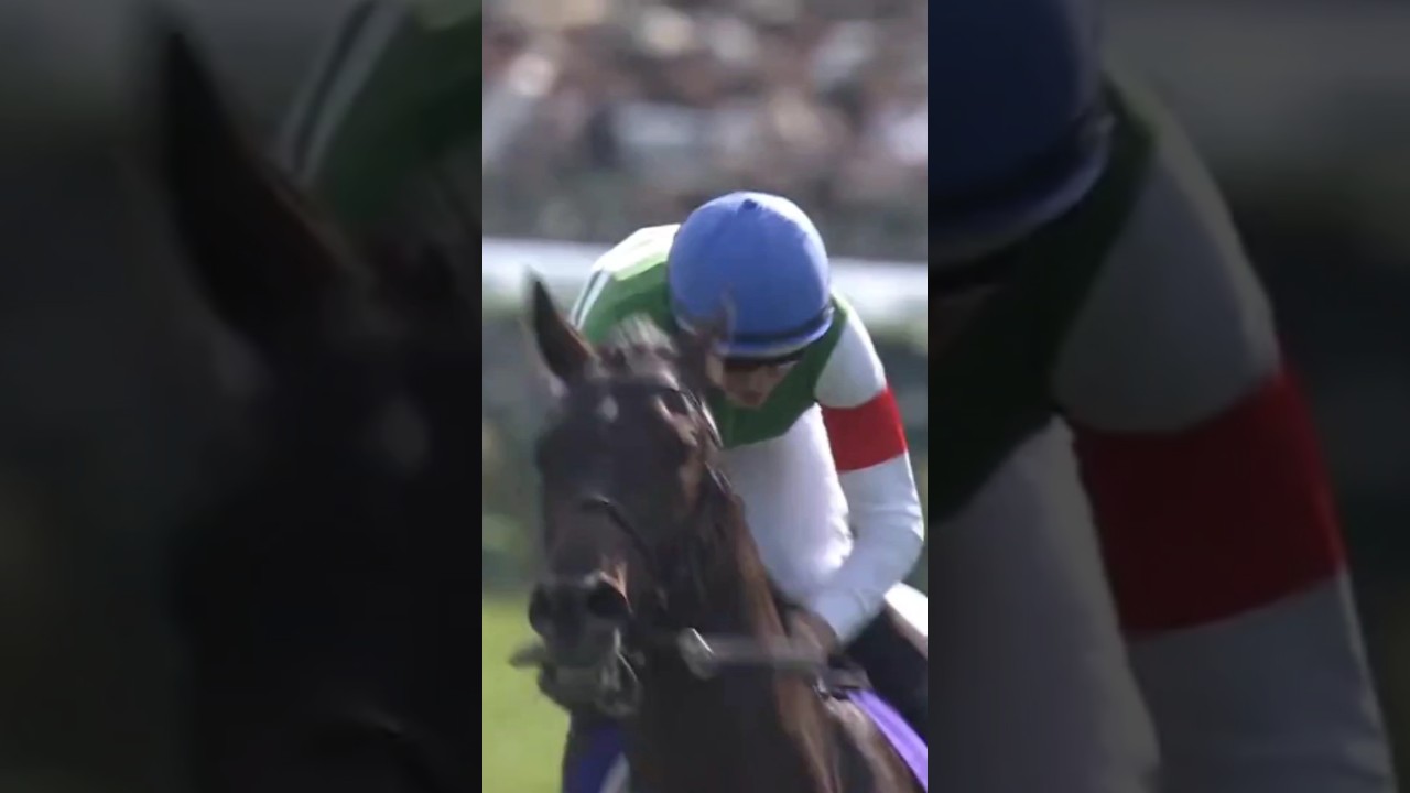 #shorts 2025 天皇賞春 #へデントール #レーン