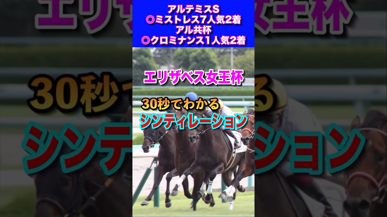 【エリザベス女王杯2024】30秒でわかるシンティレーション